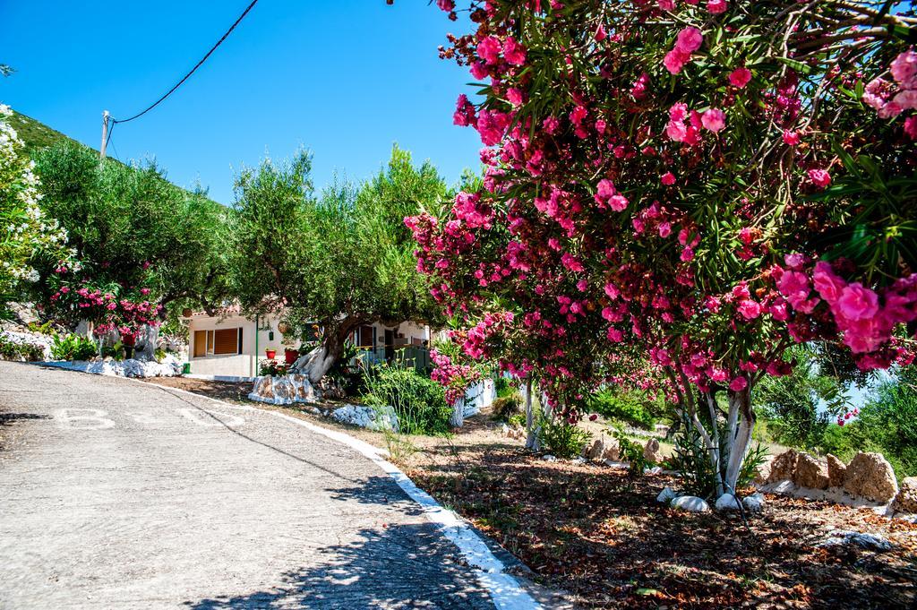 Rogakia Village Est. 1983 Zola ภายนอก รูปภาพ